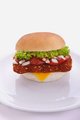 Bonita Groenteburger met Kaas