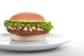 GRAND CANYON SPECIAALBURGER.
