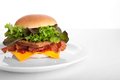 GRAND CANYON BACONBURGER.
