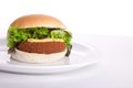 GRAND CANYON KROKETBURGER.