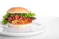 GRAND CANYON CHICKENBURGER JOPPIE.