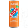Oasis tropical
