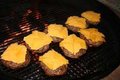 Tasty Burger Special