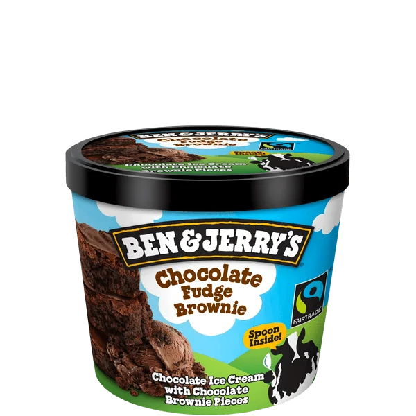Ben & Jerry's Chocolate Fudge Brownie 100ml