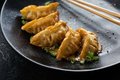 vegetarische dumplings 6 st.