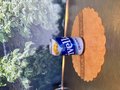 Rivella