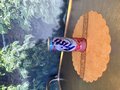 Fristi