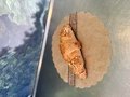 kaascroissant