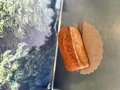 Kaasbrood