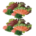 Sashimi mix 20 stuks