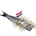 Hollandse nieuwe haring