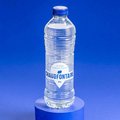 Chaudfontaine natuurlijk mineraalwater 500ml