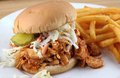 Pulled Chicken (Slaw on Top Combo)