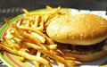 Hamburger (Single) (Combo)