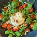 Burrata salade