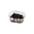 Oreo tiramisu