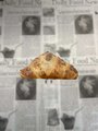 Abrikozen Croissant