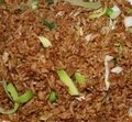 mini Nasi