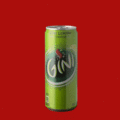 Gini
