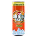 Gazoz Orange