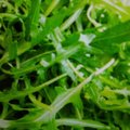 Rucola salad