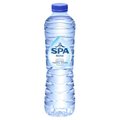 Spa Reine 50cl