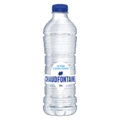 Chaudfontaine still 500ml