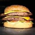 XXL burger (400 gram)