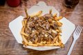 Shroom Daddy Poutine - Regular