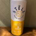 Stëlz Hard Seltzer Mango 250ml