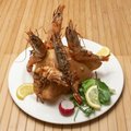 Gamba's de la casa