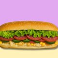 Chicken Magnum