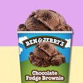 Ben & Jerry's Chocolate Fudge Brownie 100ml