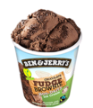 Ben & Jerry groot fudge brownie