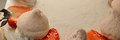 Fresh Fruit Cake / Strawberry Short Cake