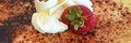 NY Cheese Cake