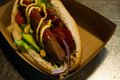 Vegan Hotdog