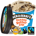Ben & Jerry's Peanut Butter Cup 100 ml