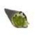 Vegetarische handroll