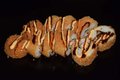 Fry sushi roll