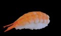 Ebi nigiri