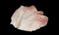 Tai sashimi