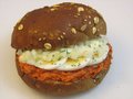 Filet American speciaal (ei, mayo, ui)