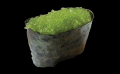 m23.Tobiko Wasabi