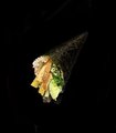 m46.Yasai temaki