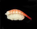 m5.Ebi nigiri