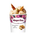 Häagen-Dazs - Macadamia Nut Brittle 460ml