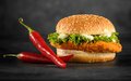 Spicy Chicken Burger met frisse saus en komkommer
