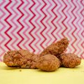 Chicken Strips