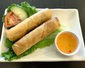 A02 Vegetarian Rolls